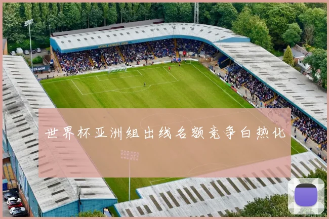 世界杯亚洲组出线名额竞争白热化