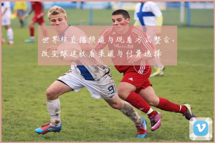 世界杯直播频道与观看方式整合，改变球迷收看渠道与付费选择
