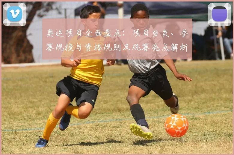 奥运项目全面盘点：项目分类、参赛规模与资格规则及观赛亮点解析